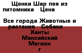 Щенки Шар пея из питомника › Цена ­ 25 000 - Все города Животные и растения » Собаки   . Ханты-Мансийский,Мегион г.